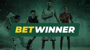 BetWinner Bookmaker in Brazil Your Guide to Online Betting Success BetWinner Bookmaker in Brazil Your Guide to Online Betting Success